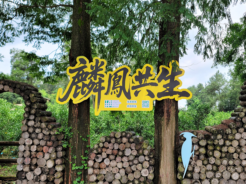 麟凤村自然景观